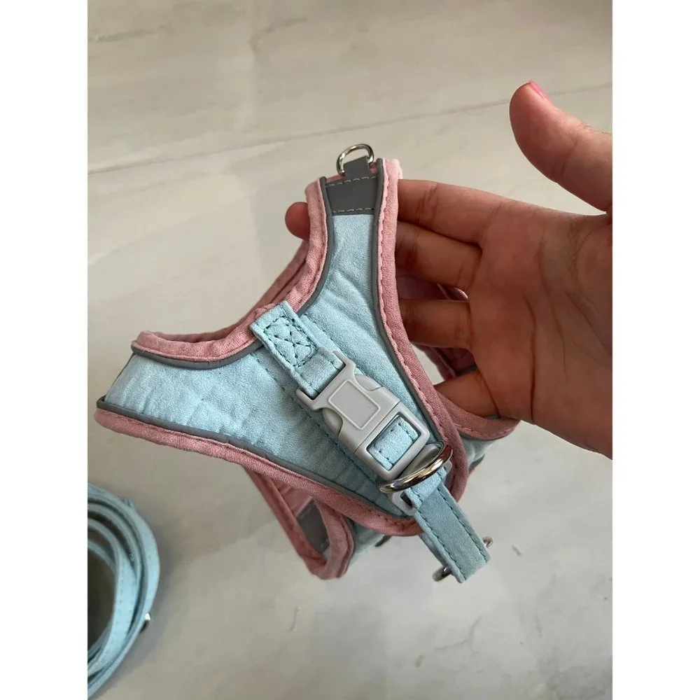 Custom pet harness with leash